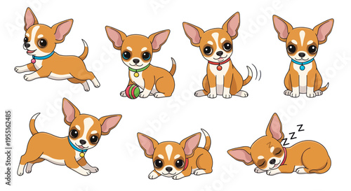 Cute Chihuahua Dog Collection: Playful Poses and Sleeping Pup