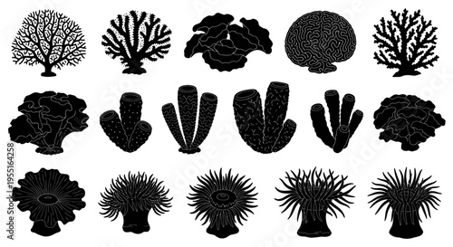 Coral Reef Silhouettes: Diverse Marine Life Collection