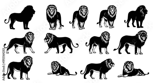 Lion Silhouettes and Illustrations: Majestic King of the Jungle Poses