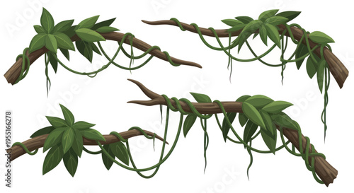 Jungle Vines and Branches - Tropical Rainforest Elements