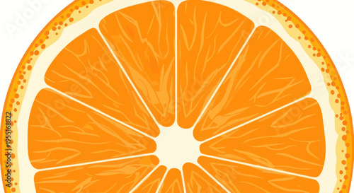 Vibrant Orange Slice Close-up, Juicy Citrus Fruit Section with Segments