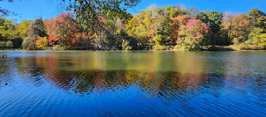 Plexiglas schilderij Reflectie Kleurrijke herfstbomen weerspiegeld in meer  © Roman