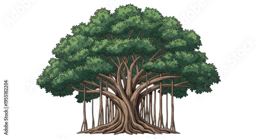 Large Tree with Thick Trunk Roots.