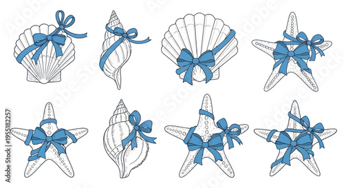Sea shells with blue ribbons tied.