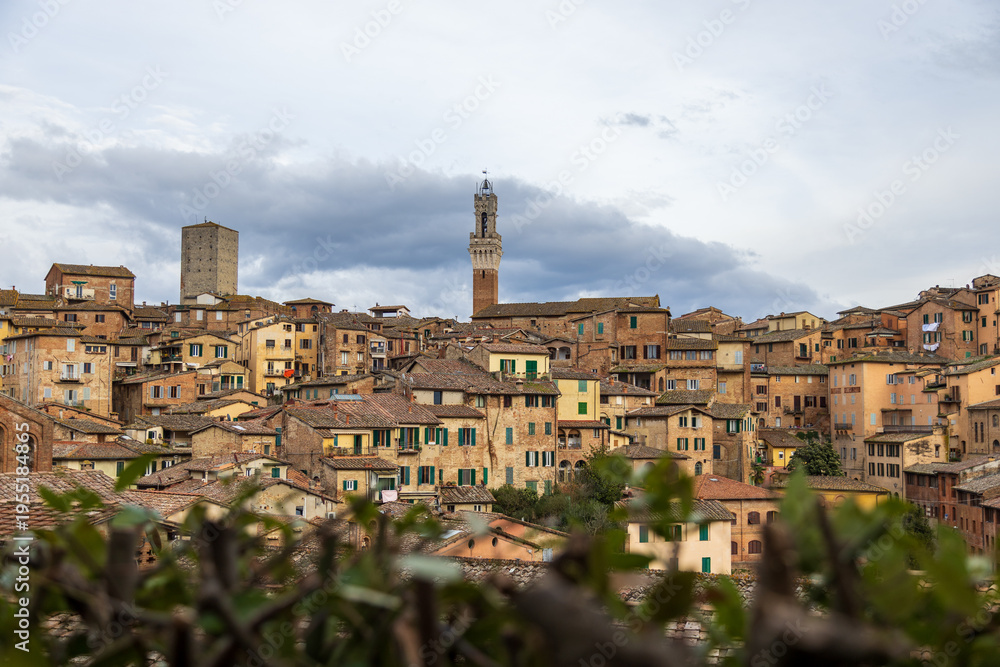 Fototapeta premium Cityscape With Tower. Historic City Skyline With Greenery. Compact City Architecture Highlighted By Central Tower And Natural Surroundings