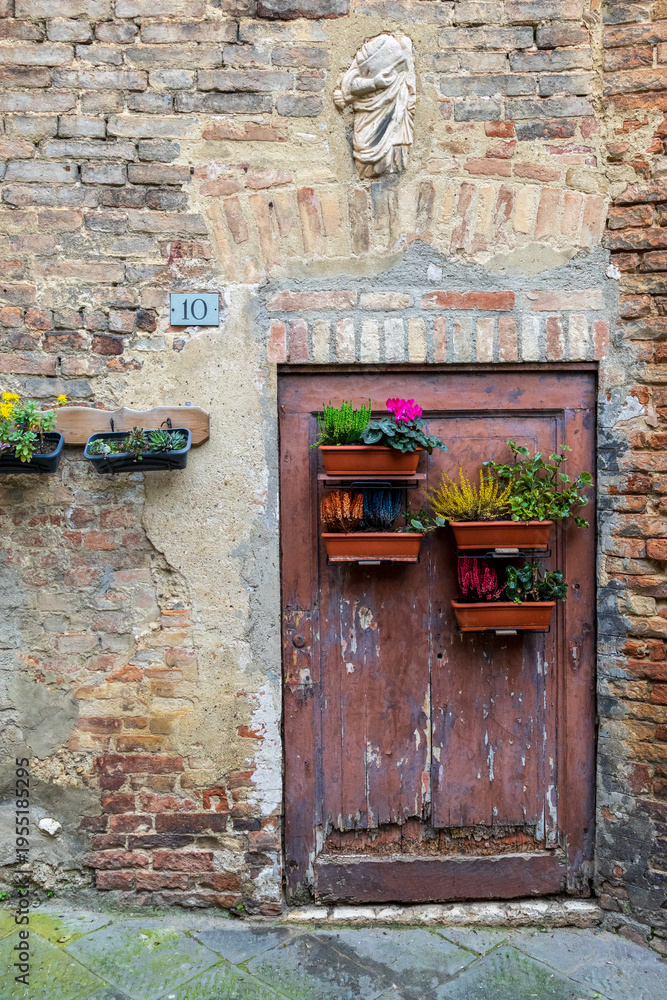 Naklejka premium Weathered Door Nestled In Timeless Siena Street Scene. Old Wooden Gateway Accented By Lush Geraniums And Mossy Textures In Tuscan Style