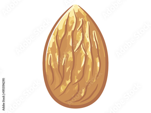 Cartoon Nuts Tree Almond Organic Seed