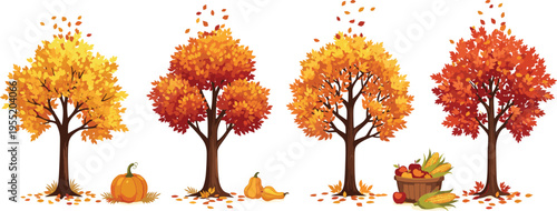 Autumn season trees with colorful falling leaves, pumpkins, harvest basket, seasonal decoration vector, fall foliage illustration, Thanksgiving holiday design