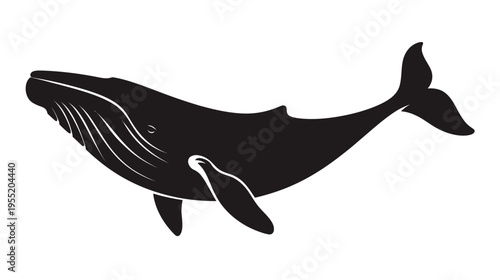 Silhouetted black illustration of a whale swimming through the ocean, facing left