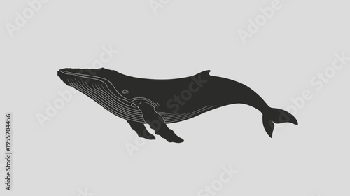 Silhouetted whale illustration in dark gray, swimming upward in a light gray background