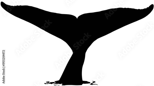 Silhouetted depiction of a cetacean's fluke, rising from the water's surface, in black and white