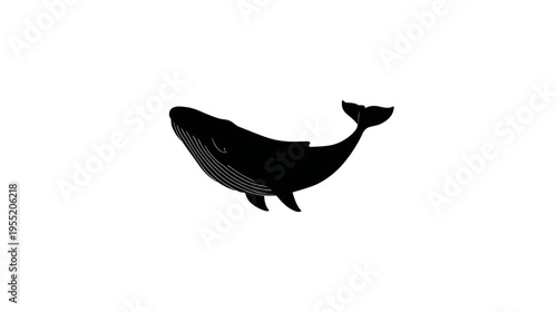 A monochrome illustration of a whale, depicted in silhouette, against a plain white background