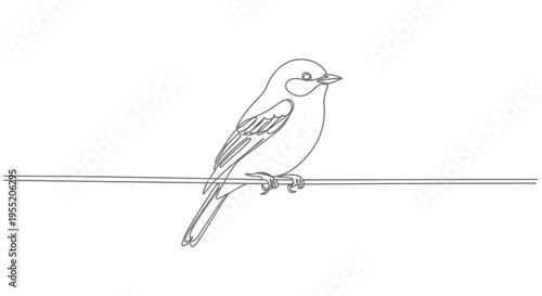 Bird Perched on Wire Line Art Drawing Isolated on White Background
