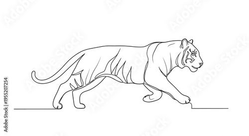 Tiger Walking Line Art Drawing Isolated on White