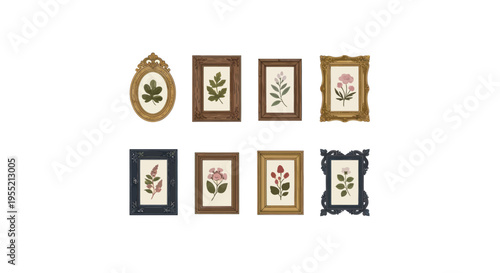 Collection of ornate picture frames.