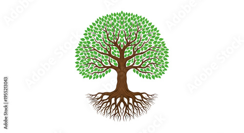 Tree with roots and green leaves.