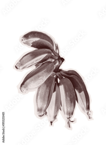 Photography Halftone Banana sticker grunge cut out vintage style mimicking torn out collage old photo