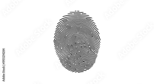 Close-up fingerprint identification, security, privacy, unique human identity concept