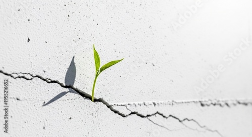 A tiny green sprout emerges from a crack in a concrete wall symbolizing resilience and new beginnings.