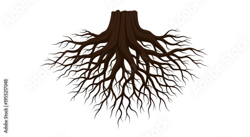 Tree Root System Closeup Illustration.