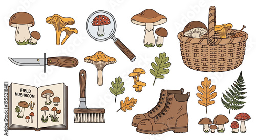 Outdoor forest foraging scene with mushrooms, boots, basket and leaves in a nature setting.