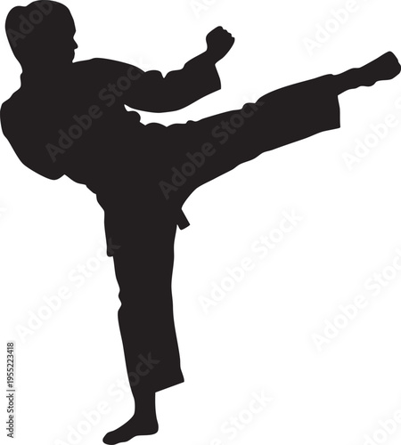Dynamic Silhouette of a Martial Arts Practitioner Executing a Powerful High Kick, Symbolizing Strength and Discipline