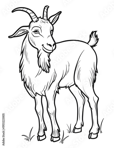 Animal Adults Coloring Pages, Animal Coloring Page, Animals Coloring Book, Animals Outline, Animals Lineart