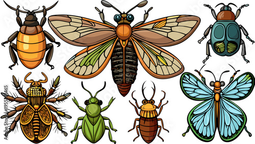 Colorful insect and bug vector collection isolated on black.