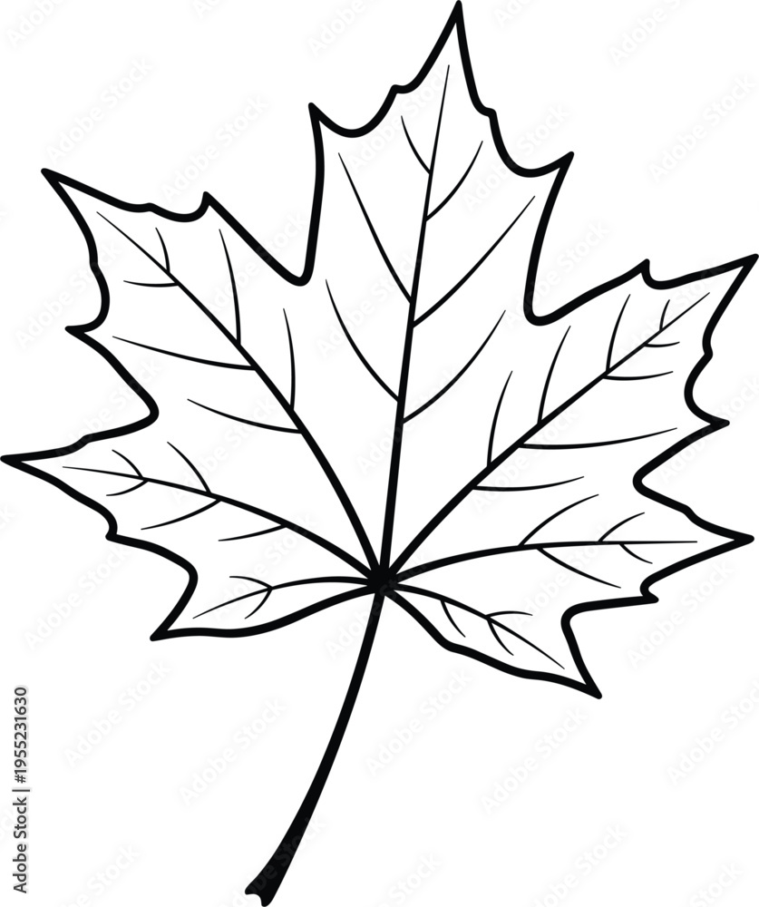 Fototapeta premium Black and White Maple Leaf Illustration for Nature, Environmental, and Botanical Graphic Designs