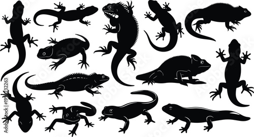 Lizard silhouettes collection, gecko and iguana reptiles set, amphibian shapes, wildlife animal icons, black minimal flat vector illustration