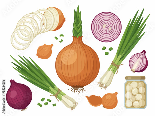 An artistic arrangement of different types of onions, including spring onions, red, and yellow varieties, beautifully displayed to emphasize their variety and freshness.