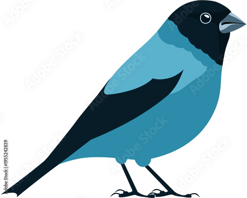 Blue bullfinch bird flat vector illustration