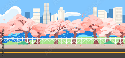 Spring city street and riverside with cherry blossoms