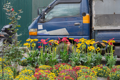 Brightly colored flowers arranged along a roadside with a parked truck behind, showing street-side floral trade during the Tet holiday season in Vietnam.