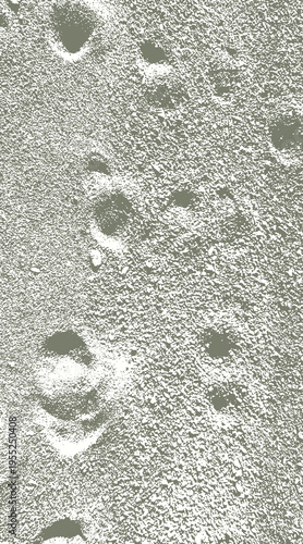 14-30. Vector image of white sand with animal footprints remaining - illustration.