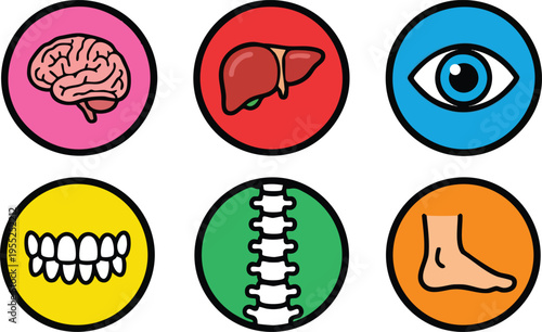 Human Organ and Body Part Icon Set for Medical Education