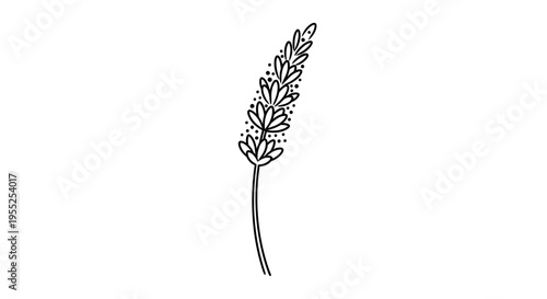 Simple black line art botanical sprig illustration on white