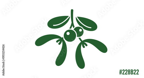 Green mistletoe plant with leaves.