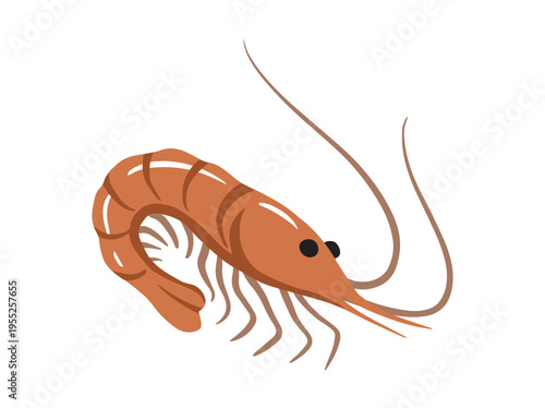 Shrimp Cartoon Illustration