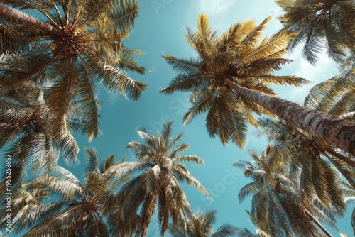 Low angle view of palm trees against a vibrant blue sky on a sunny day.