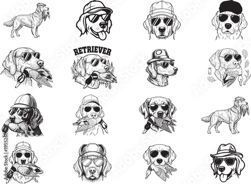 Southern Boy Duck Hunting Dog