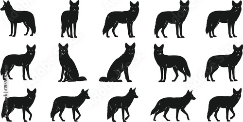 Coyote silhouette collection featuring various standing and walking poses in black cad drawing flat vector illustration style for flavector designs.