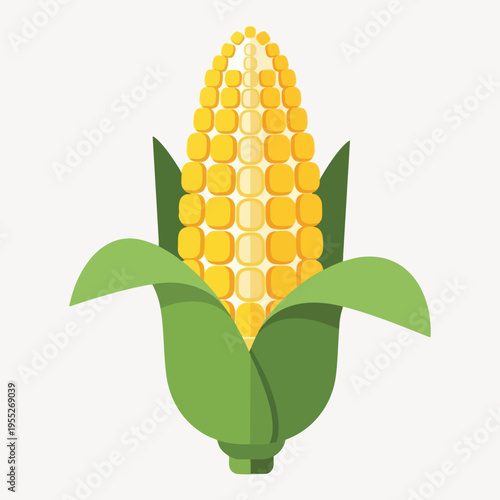 Flat illustration of an ear of corn with green husks and yellow kernels