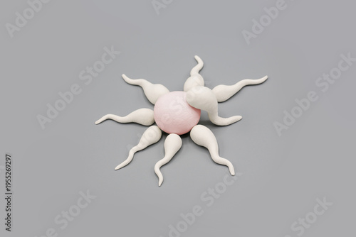 Handmade Polymer Clay Figure of Human Sperm Impregnate a Fertile Human Egg