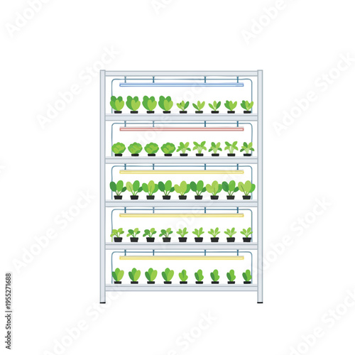 Indoor plant cultivation rack with multiple shelves and artificial lighting