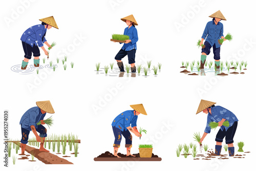 Collection of flat vector illustrations showing Asian farmers wearing conical hats while planting rice seedlings in muddy paddy fields, isolated on white.