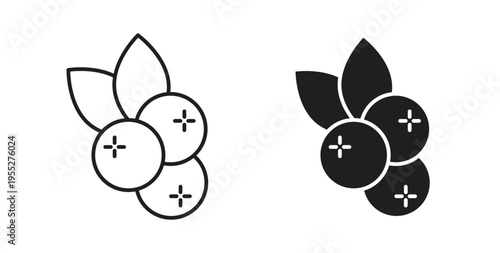 Blueberry icon line style collection. Simple black solid icons