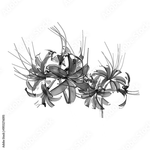 Black and white lotus flower silhouette with high contrast minimal abstract floral design
