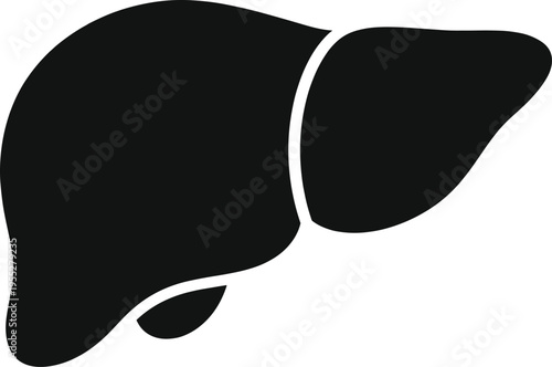 Solid silhouette vector human liver icon, anatomical internal organ for medical healthcare design, digestive system anatomy isolated on white.