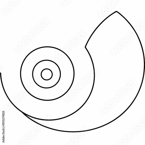 seashell interior spiral nautilus cutaway line art vector illustration on transparent background